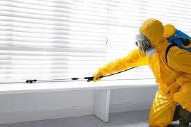 Best Indoor Pest Control  in Maple Valley, WA